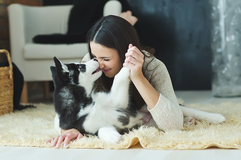 Woman lying on the carpet playing with her ESA dog